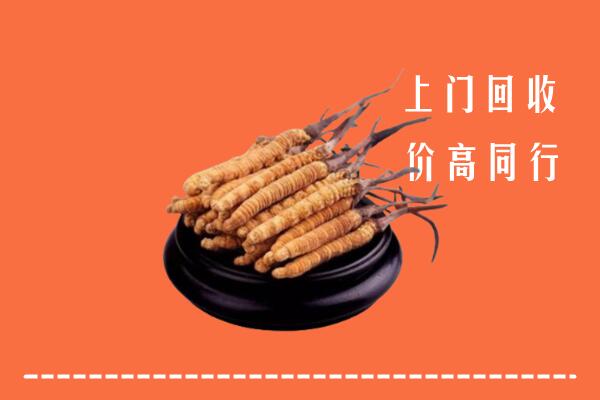 南京建邺区回收冬虫夏草
