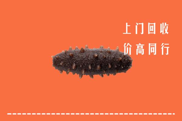高价求购：南京建邺区回收海参